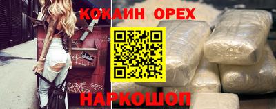 индика Новодвинск