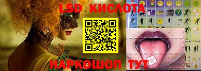 индика Новодвинск