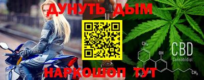 индика Новодвинск