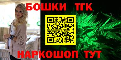 индика Новодвинск