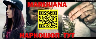 индика Новодвинск