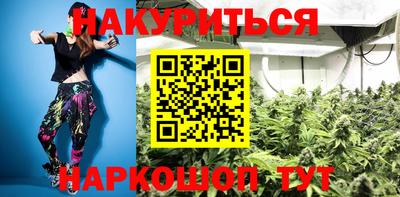 индика Новодвинск