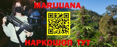 индика Новодвинск