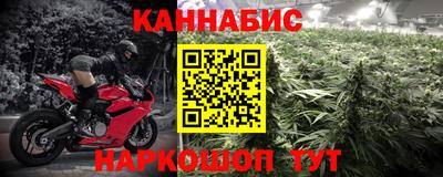 индика Новодвинск