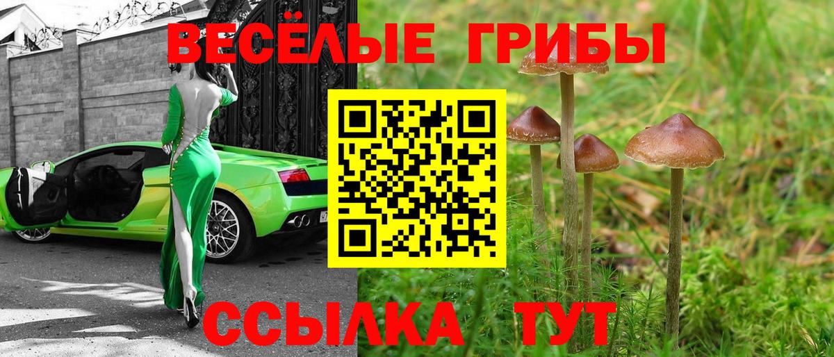 Серов  Галлюциногенные грибы Psilocybine cubensis  Вход с VPN 
